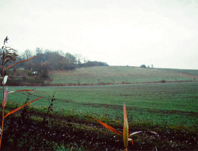 Blick auf die Fläche im Jahr 1985
