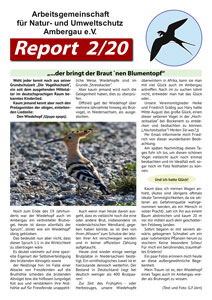 report 2020 02 web