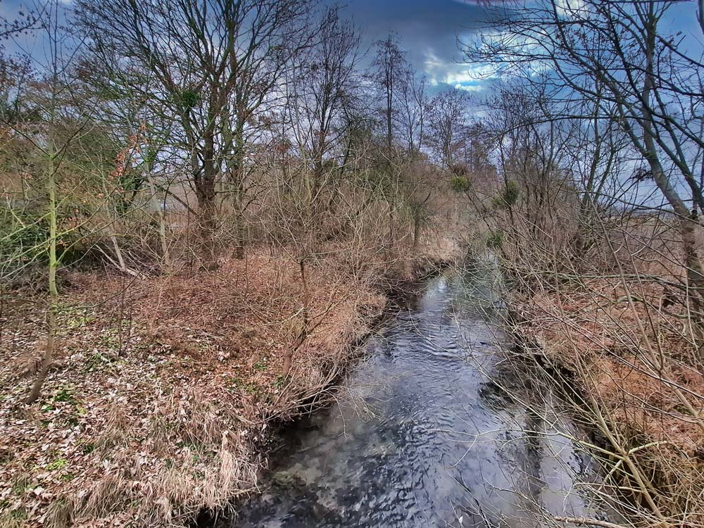 Blick auf das Schutzgebiet im Winter 2025