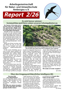 report 2025 02