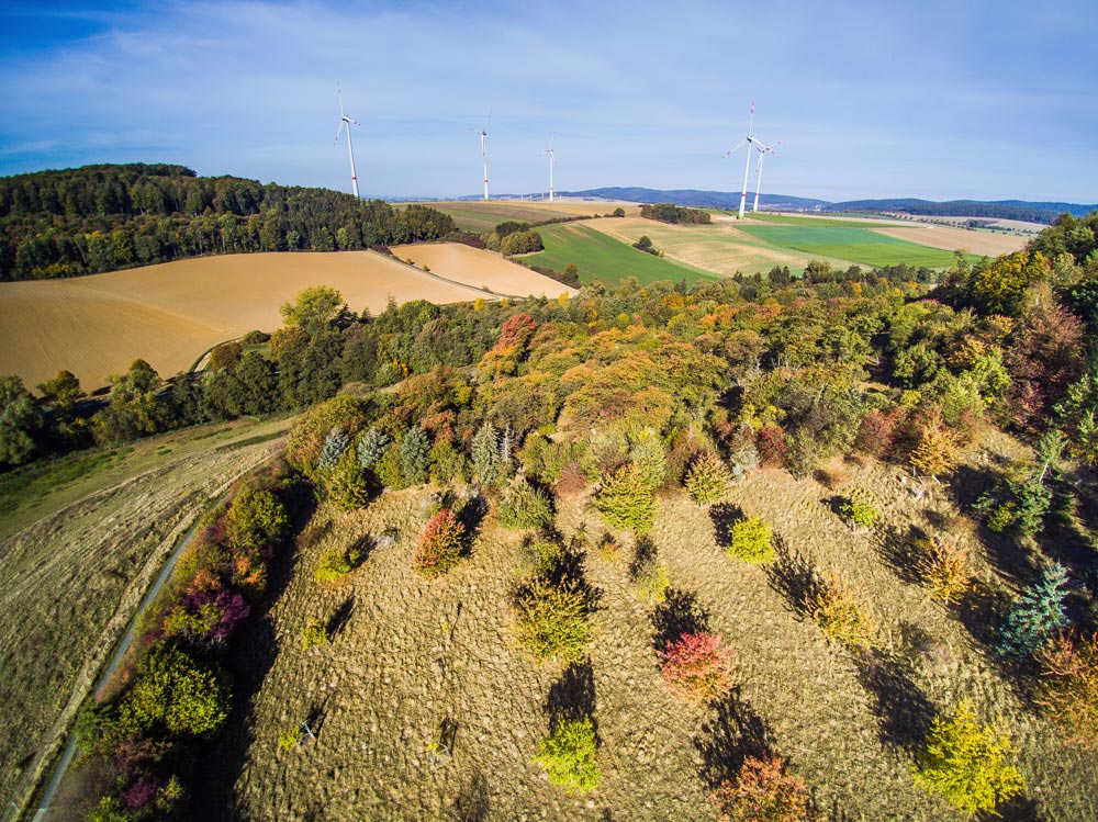 Luftbild des nordwestlichen Teils des Dreisch