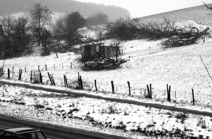 Wirtschaftlich wertlos geworden:Alte, artenreiche Streuobstwiesen fielen (und fallen) dem Kahlschlag zum Opfer