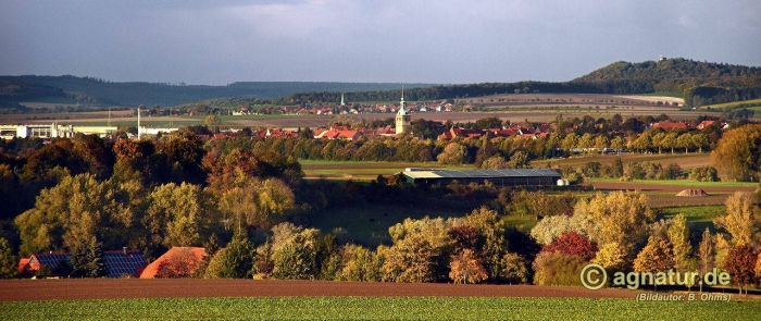 Blick auf Bockenem und den herbstlichen Ambergau(Das Bild kann durch Anklicken vergrössert werden)