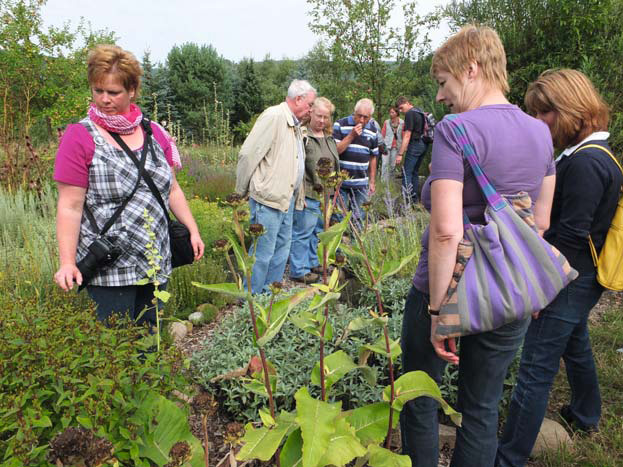 Der Kräutergarten konnte begeistern!