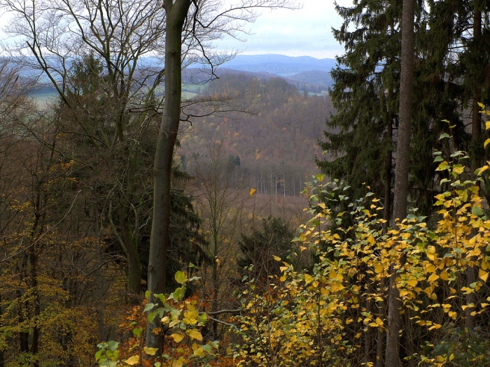 Ausblick von der hohen Schanze