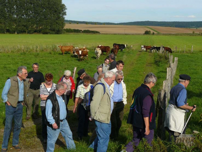 Ein Teil der bunten Herde von Herrn Steinborn