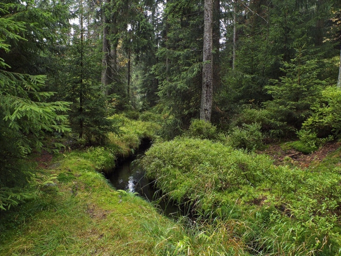 Historischer Wassergraben