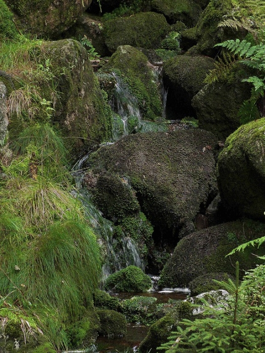 Wasser rinnt durch die Blockfelsen